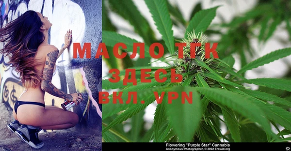 гашик Россошь