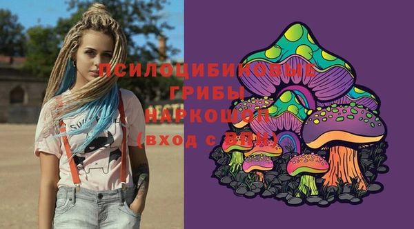 гашик Россошь