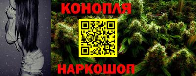 сатива Жуковский