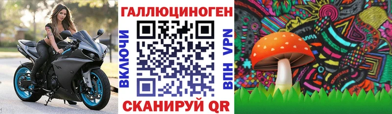 Псилоцибиновые грибы MAGIC MUSHROOMS  Мурино 
