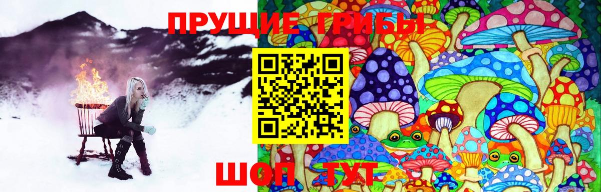 Галлюциногенные грибы прущие грибы Мурино
