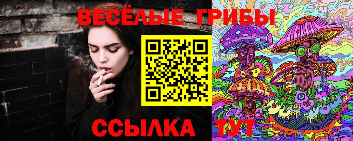 Мурино  Галлюциногенные грибы ЛСД  Вход с VPN  Галлюциногенные грибы прущие грибы 